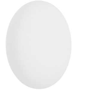 Kave Home Skleněné nástěnné světlo s černou základnou Bamila Ø 25 cm